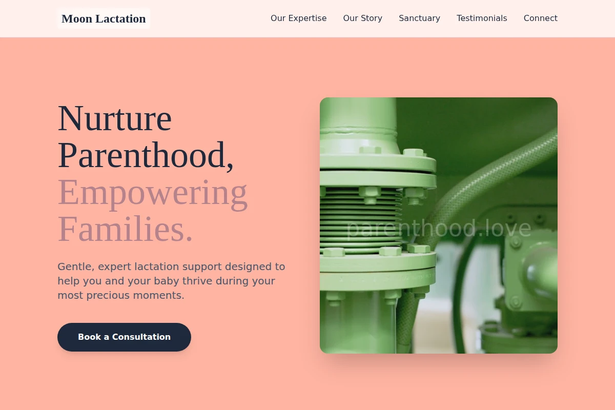 Moon Lactation Consultant