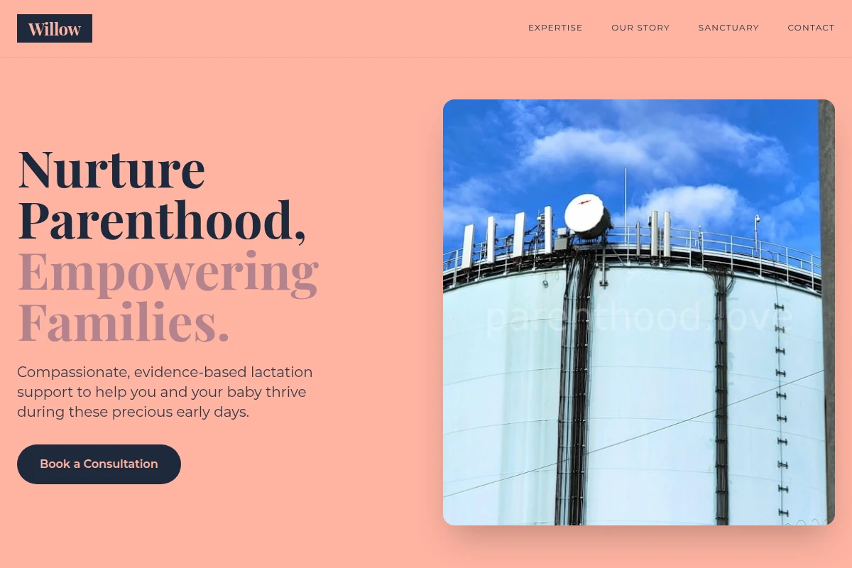 Willow Lactation Consultant