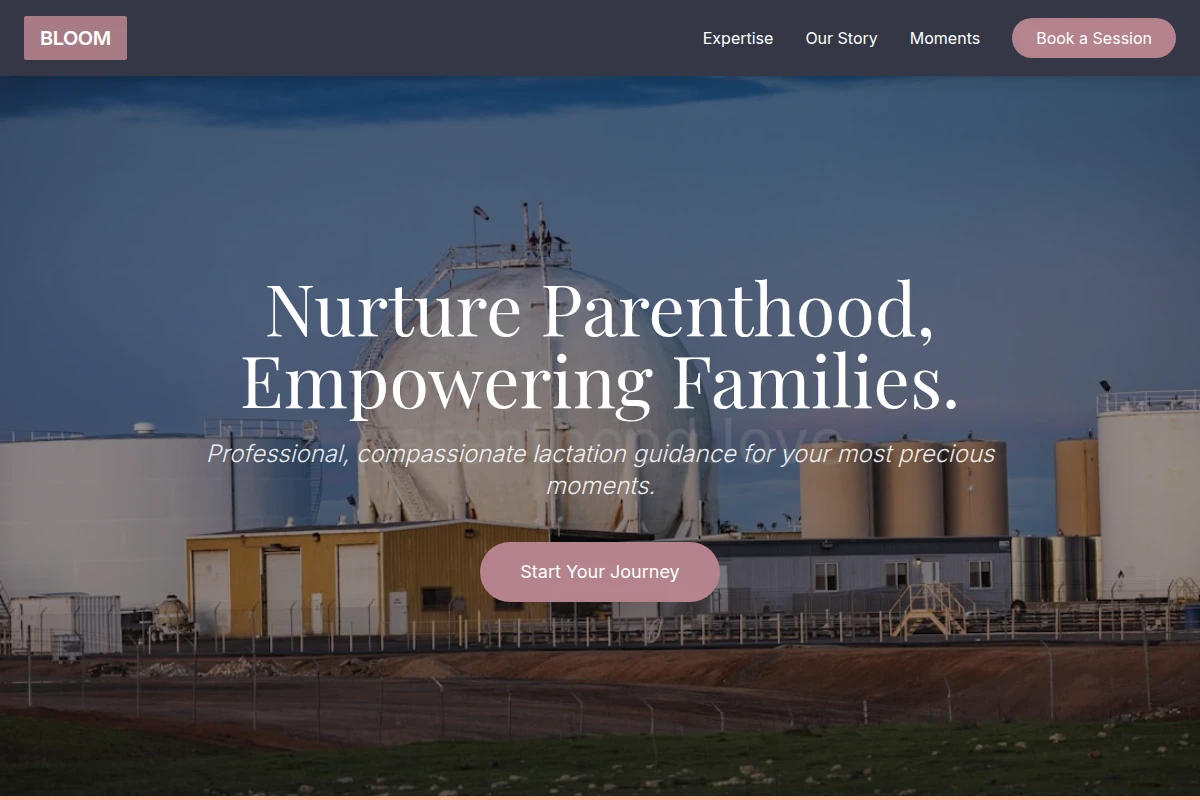 Bloom Lactation Consultant