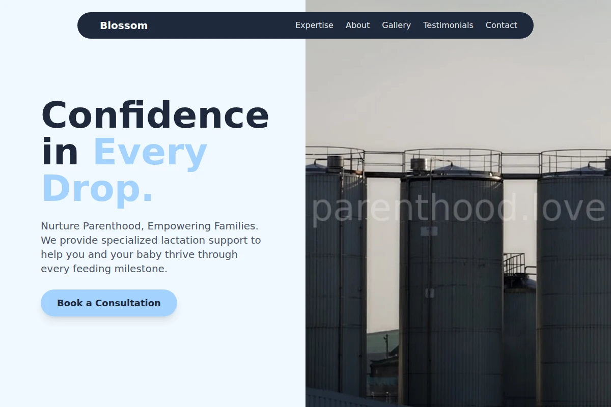 Blossom Lactation Consultant