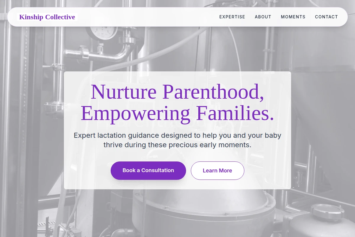 Joy Lactation Consultant